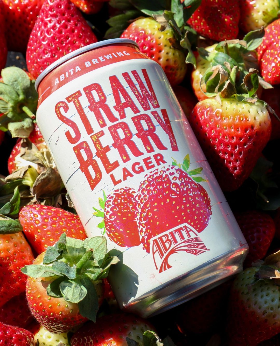 Abita Strawberry Lager